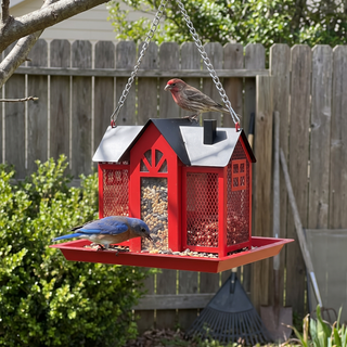 Bird Feeders