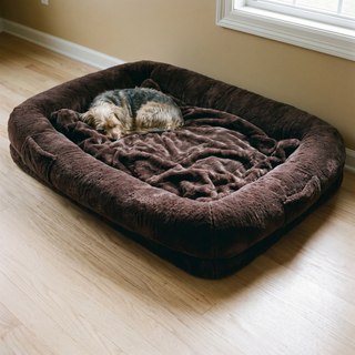 Beds & Lounging