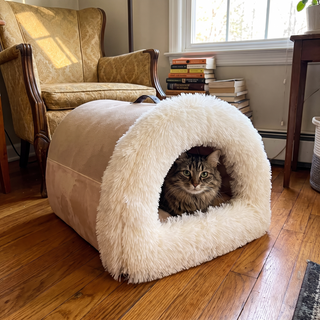 Beds & Lounging