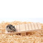 Hamster Seesaw