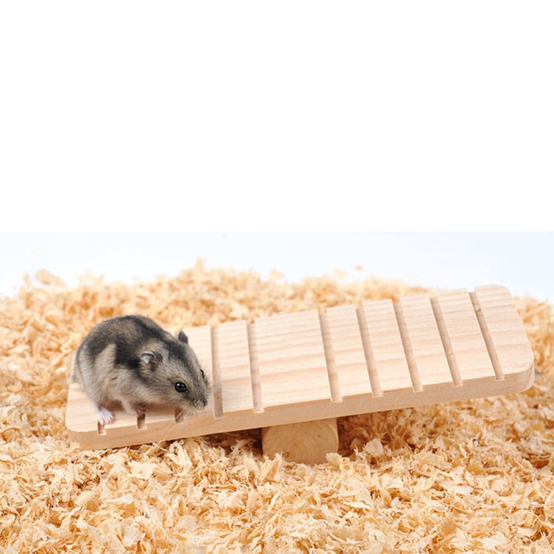 Hamster Seesaw