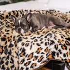 Plush Dog Mat