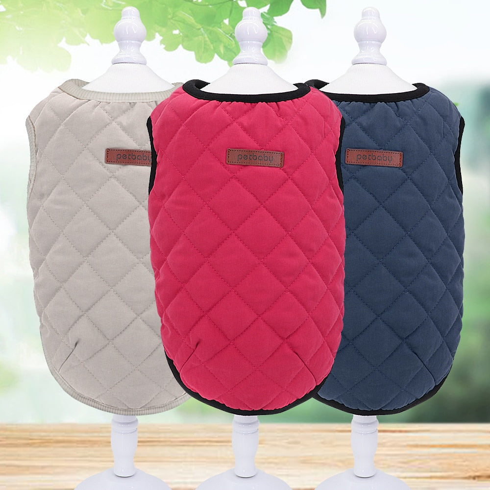 Casual Dog Vest