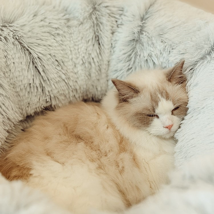 Cat Tunnel Bed