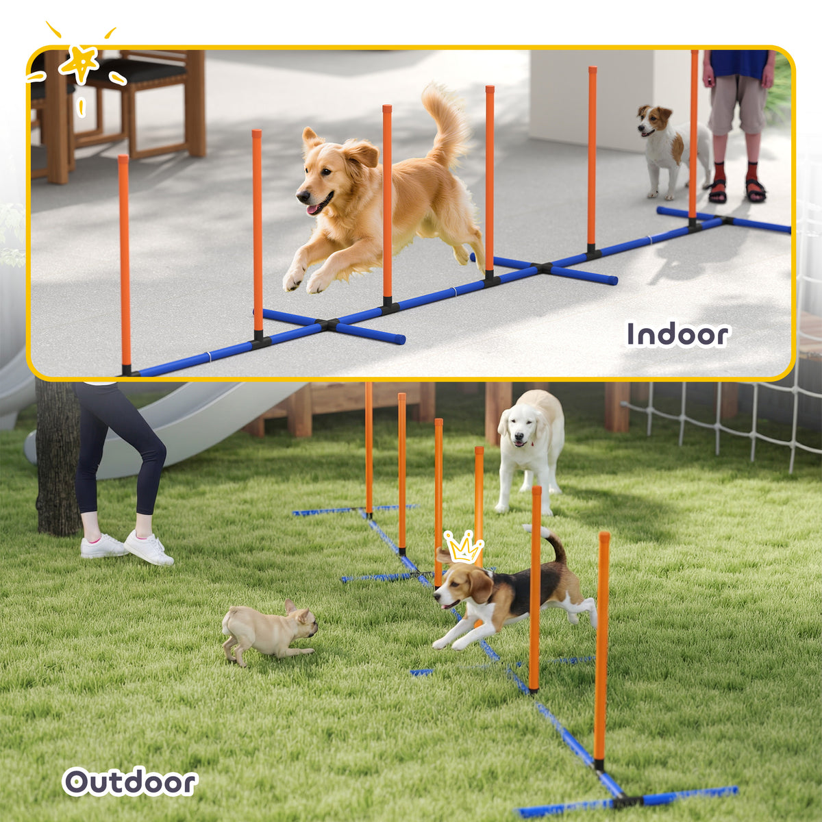 The weave poles used indoors by a golden retriever and outdoors by a beagle and a white dog