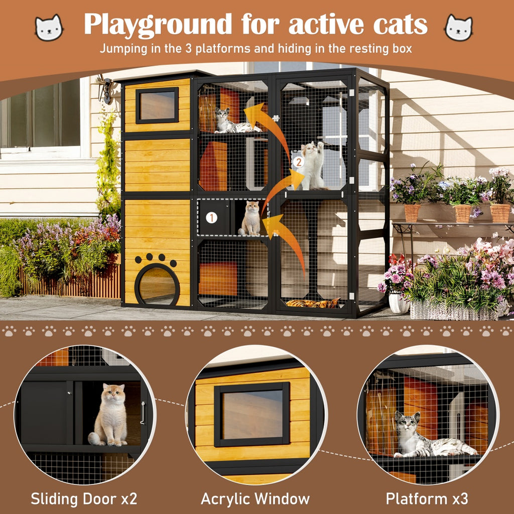 Window Cat Catio