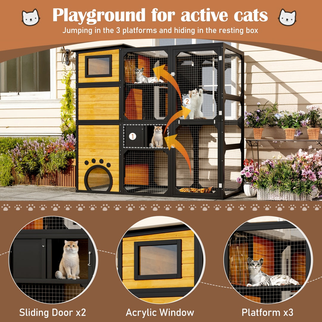 Window Cat Catio