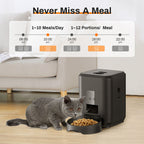 Cat next to an automatic pet feeder with a digital display showing feeding schedule.