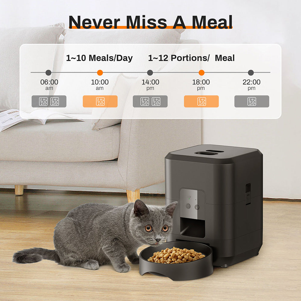 Cat next to an automatic pet feeder with a digital display showing feeding schedule.
