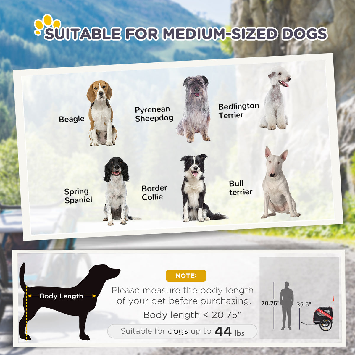 Chart of six medium dog breeds suited to the trailer, with a body-length guide for dogs up to 44 lb