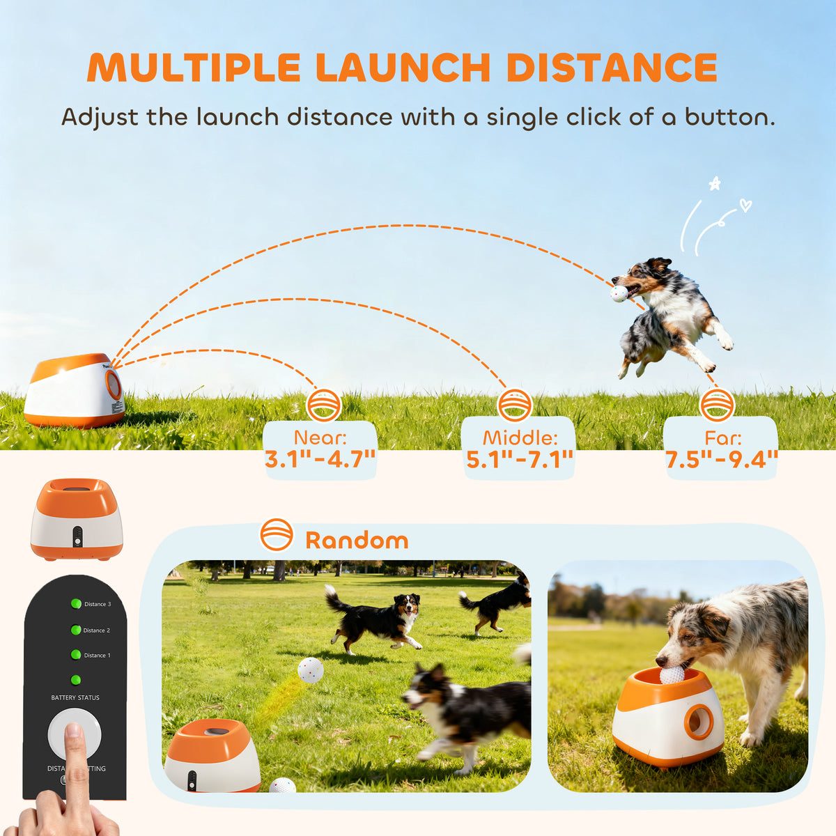 Diagram of the ball launcher's near, middle and far throw ranges, with its control panel and dogs playing