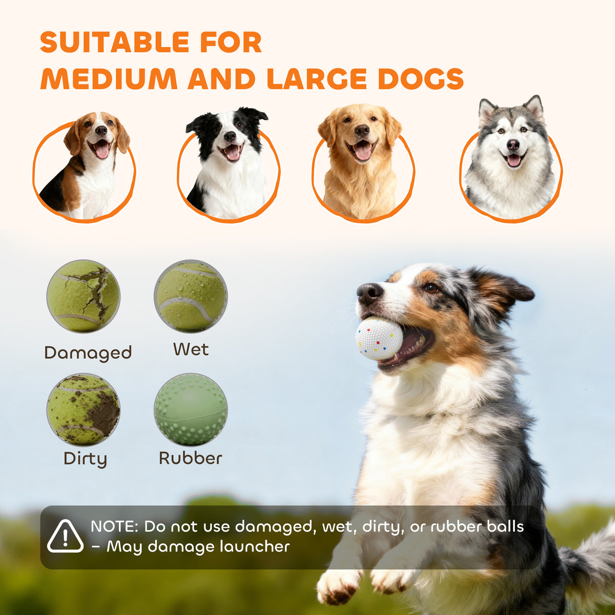 Chart of four medium and large dog breeds suited to the launcher, plus icons of ball types to avoid