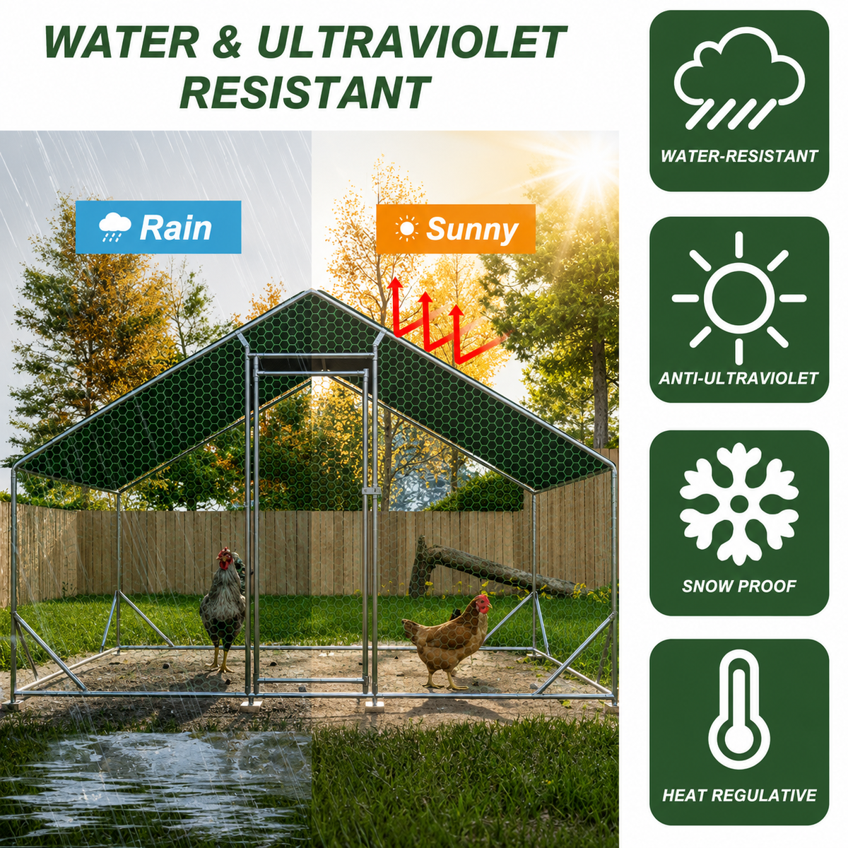 Walk-In Chicken Coop