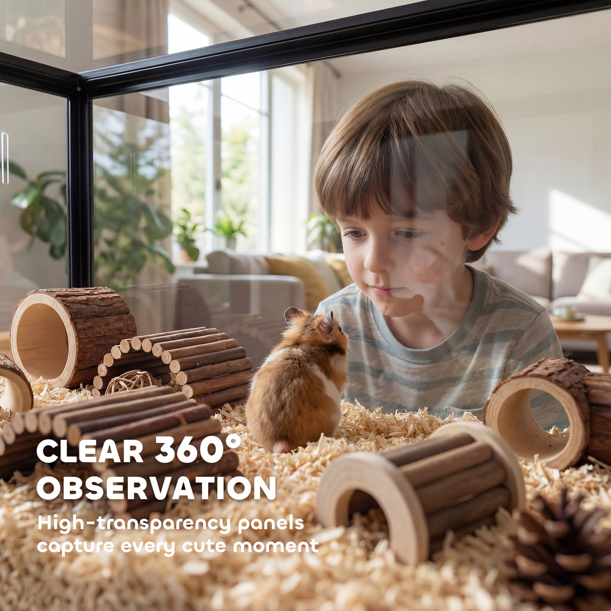 Boy watching a hamster among wooden tunnels through the clear panels of the acrylic cage