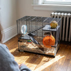 Dwarf hamster on the wheel inside the glass-base cage at home - lifestyle v2