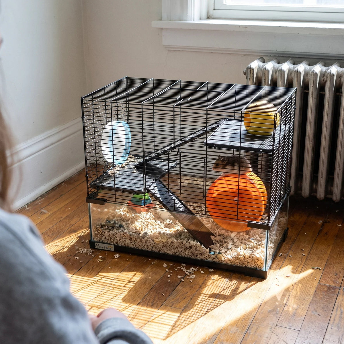 Dwarf hamster on the wheel inside the glass-base cage at home - lifestyle v2