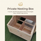 Private nesting box — a quiet partitioned space for easy egg-laying