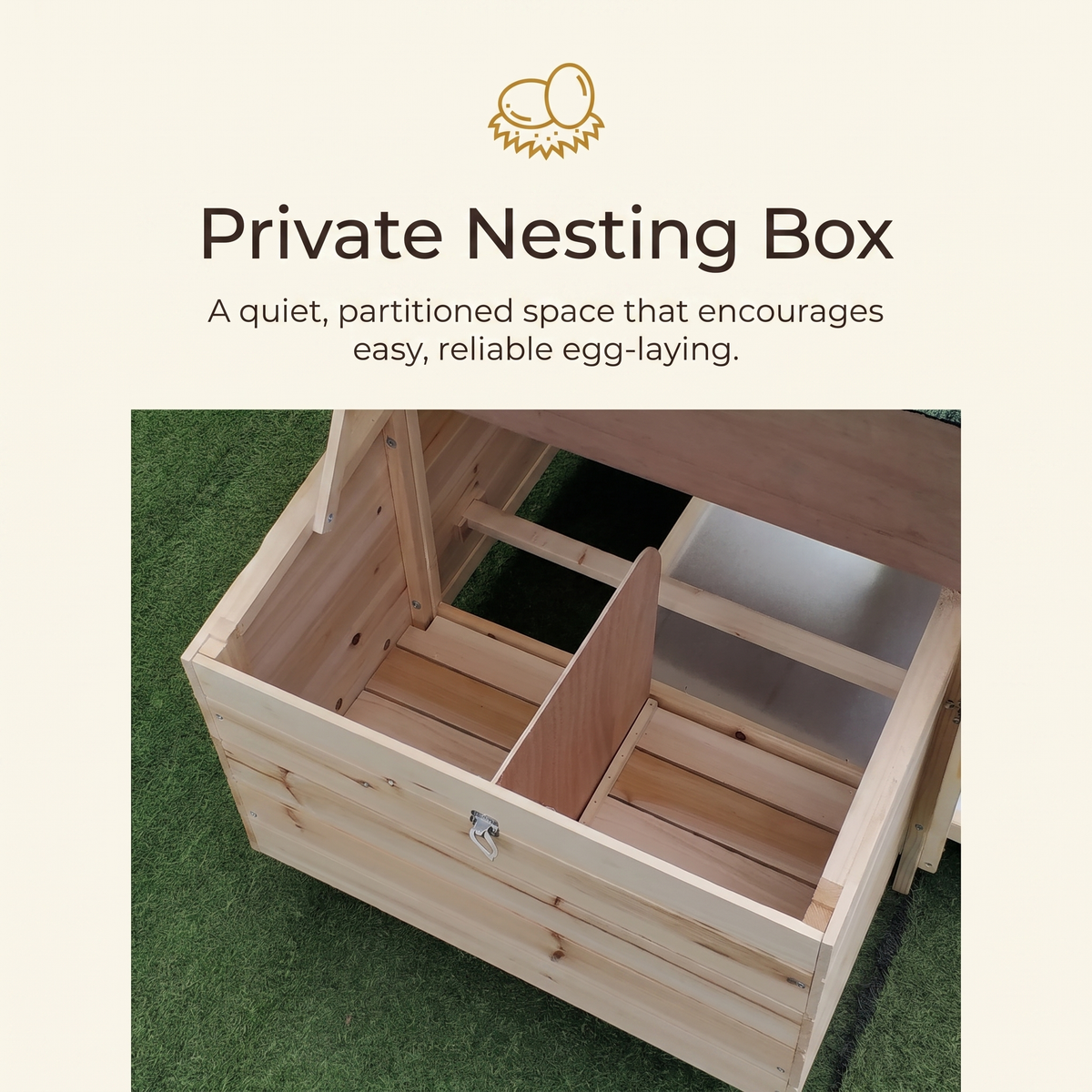 Private nesting box — a quiet partitioned space for easy egg-laying