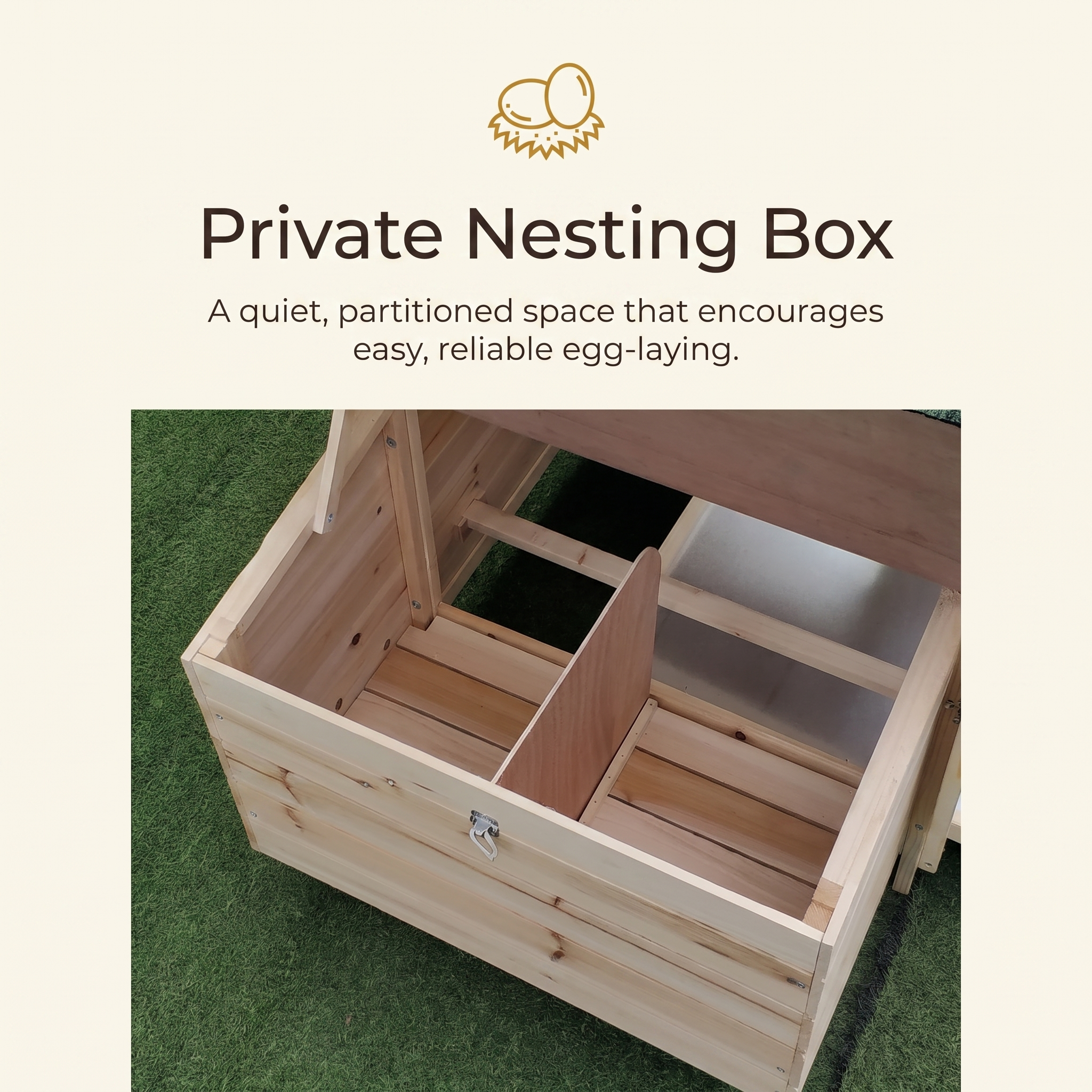 Private nesting box — a quiet partitioned space for easy egg-laying