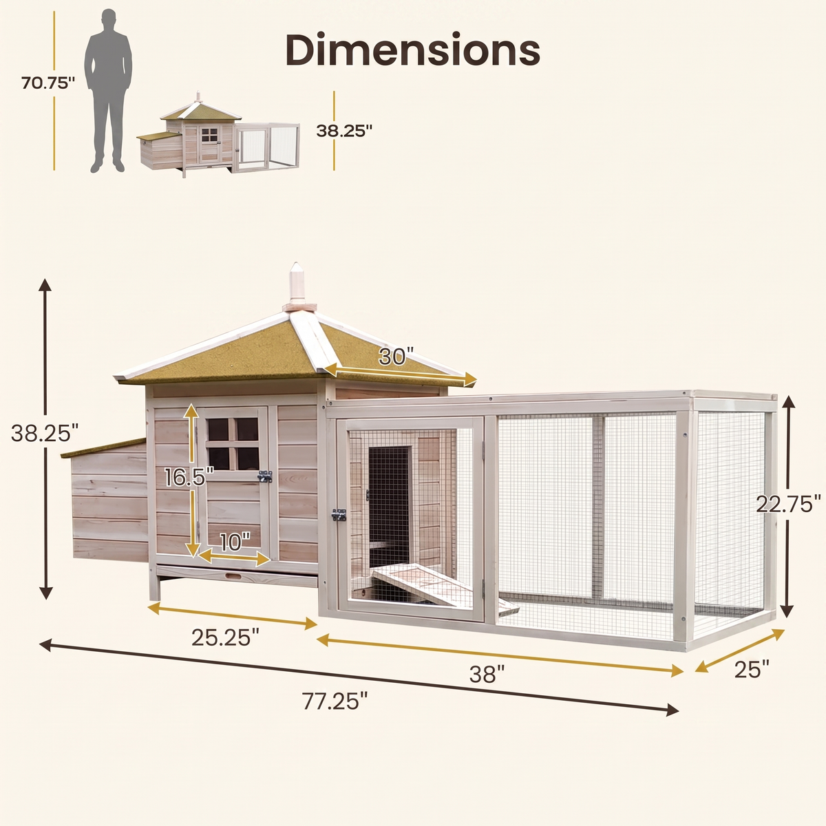 Coop dimensions with measurements and human silhouette for scale