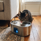 Cat drinking from the stainless steel pet fountain in a real home