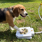 Dog using the outdoor fountain in a backyard