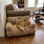 Pet using the product in a real home