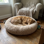 Pet using the product in a real home