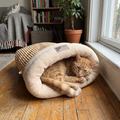 Pet using the product in a real home