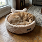 Pet using the product in a real home