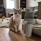 Pet using the product in a real home