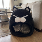 Pet using the product in a real home