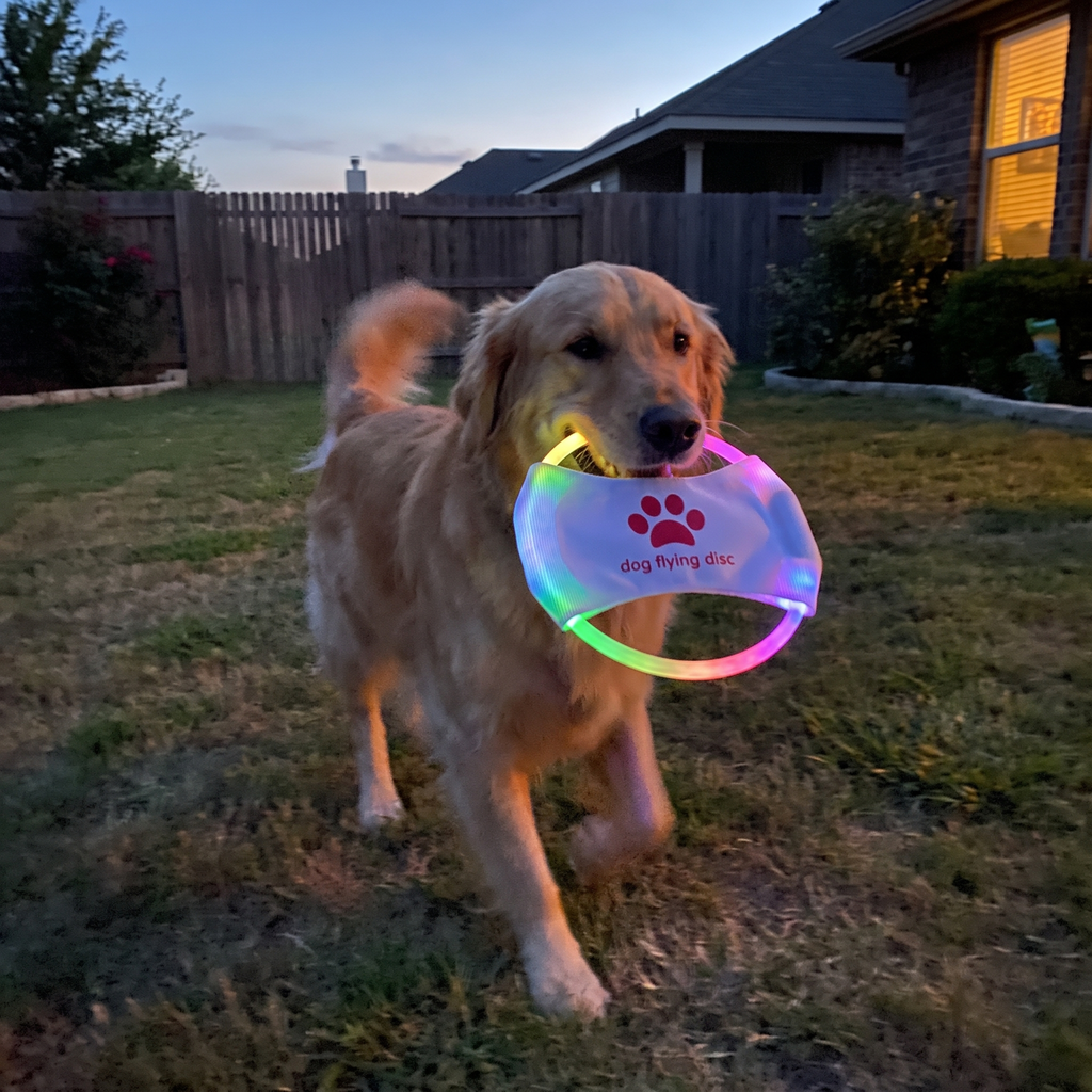 Pet using the product in a real home