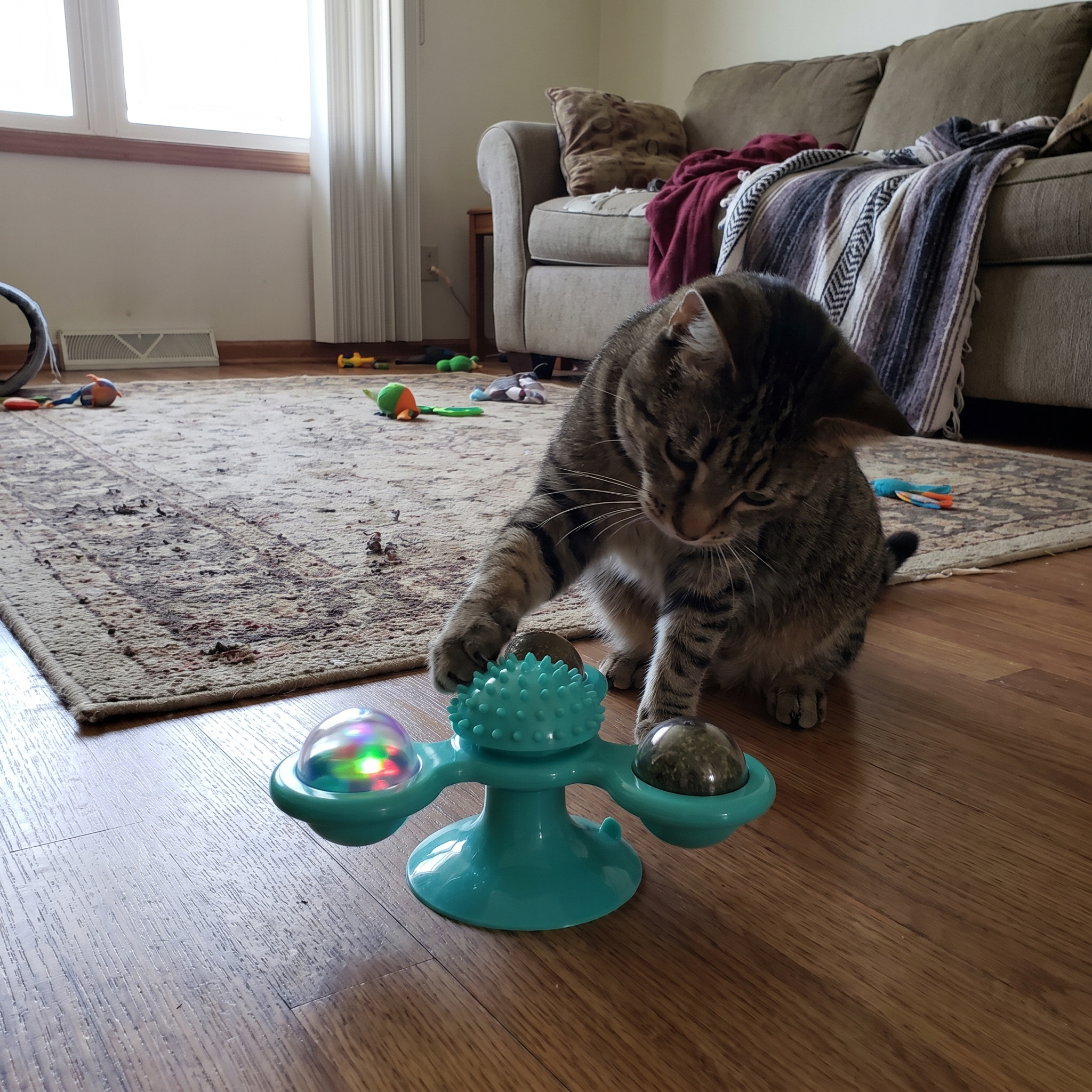 Pet using the product in a real home