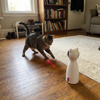 Pet using the product in a real home