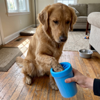 Pet using the product in a real home