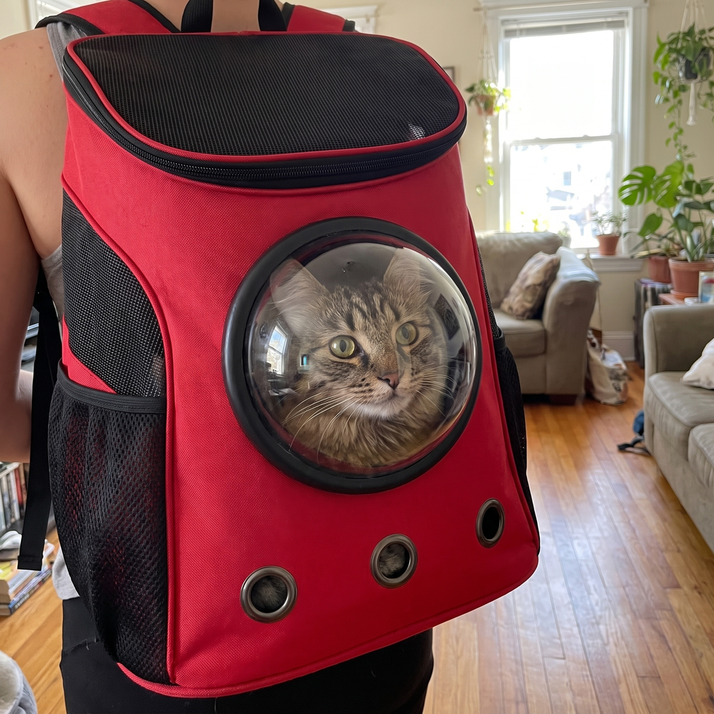 Pet using the product in a real home