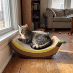 Pet using the product in a real home