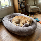 Pet using the product in a real home
