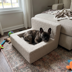Pet using the product in a real home