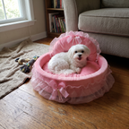 Pet using the product in a real home