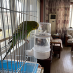 Pet using the product in a real home