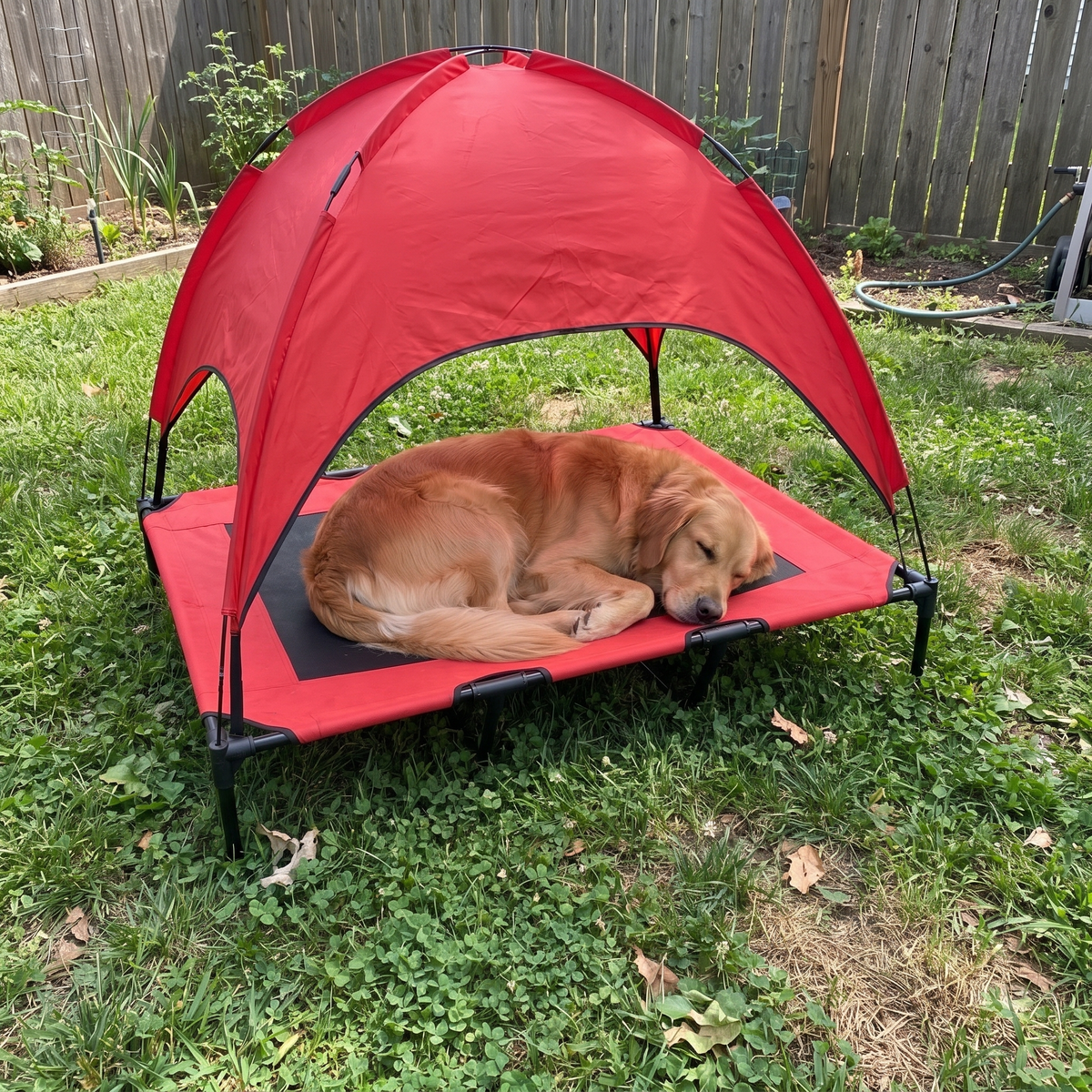 Pet using the product in a real home