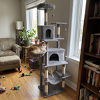 Pet using the product in a real home