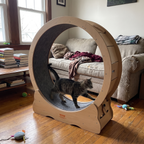 Pet using the product in a real home