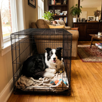 Pet using the product in a real home