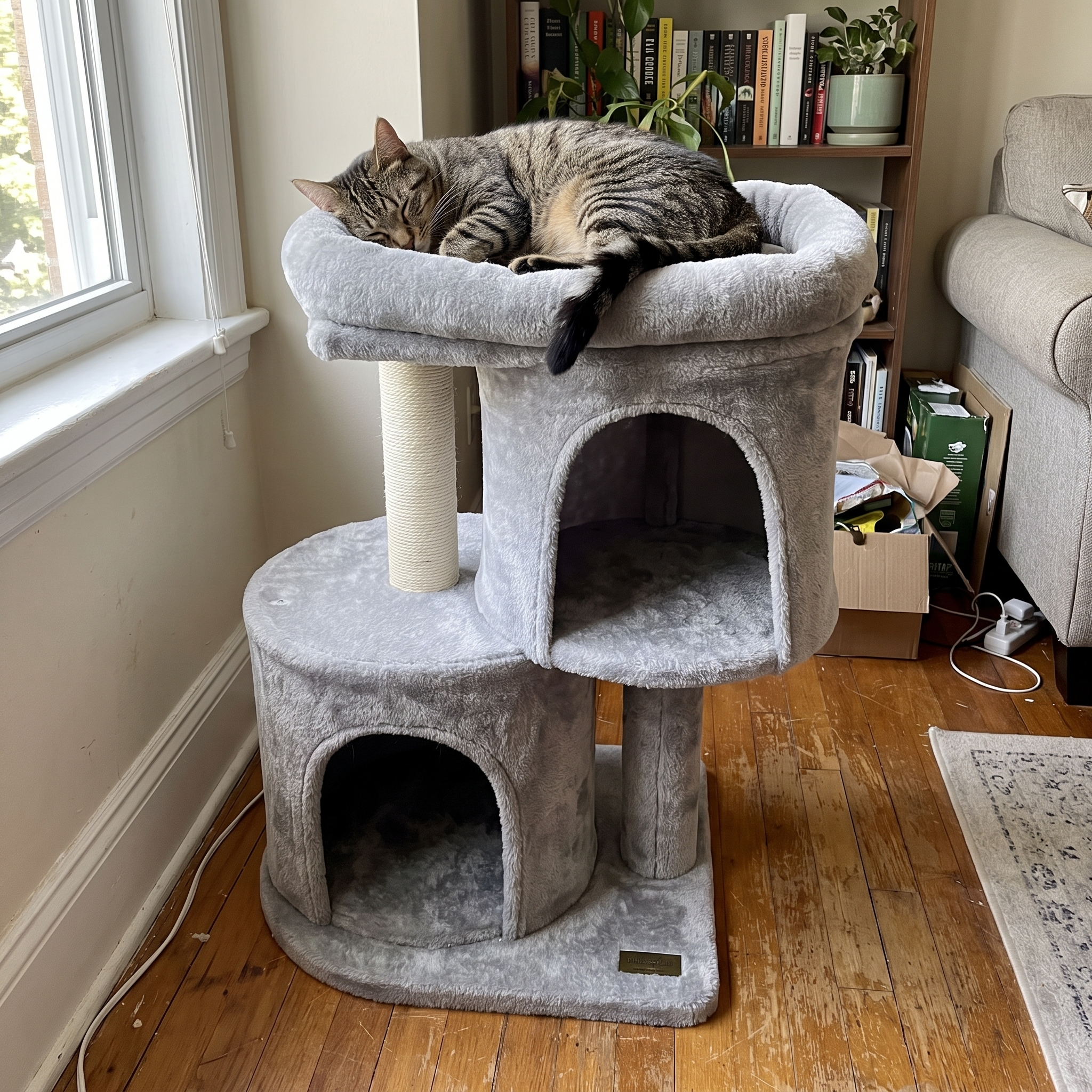 Pet using the product in a real home
