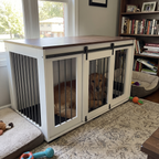 Pet using the product in a real home