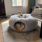 Pet using the product in a real home