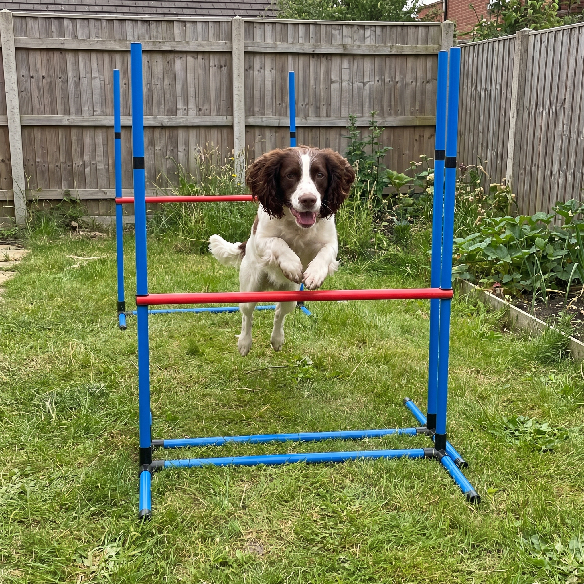 Pet using the product in a real home